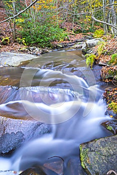 Waterfall in Montseny