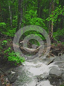 Waterfall Moramo, Southeast Sulawesi