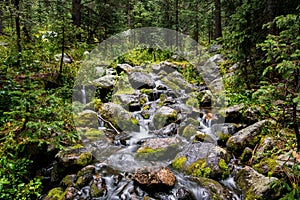 Waterfall and mossy boulders in a lush green forest