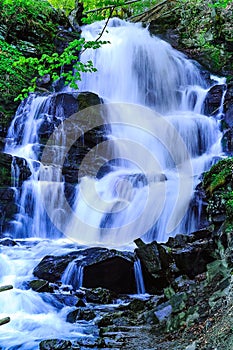 waterfall in mountain forest,travel concept in the wild. Carpathian, Ukraine, copy closeupn