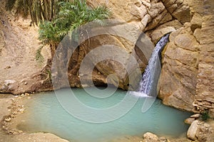 Waterfall in mountain oasis Chebika, Tunisia, Africa