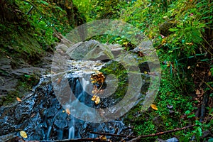 A waterfall in mountain range autumn