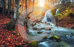 Waterfall at mountain river in autumn forest at sunset.