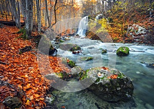 Waterfall at mountain river in autumn forest at sunset.