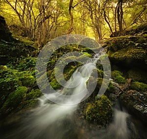 Waterfall on mountain river with moss on rocks