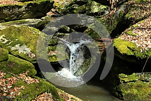 Waterfall on the mountain stream