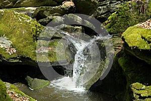 Waterfall on the mountain stream