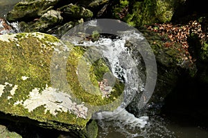 Waterfall on the mountain stream