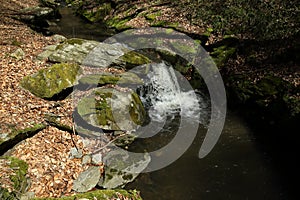 Waterfall on the mountain stream