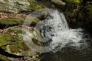 Waterfall on the mountain stream