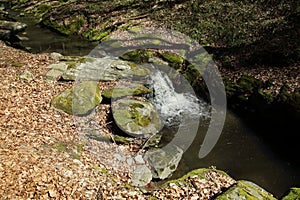 Waterfall on the mountain stream