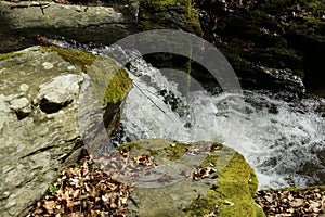 Waterfall on the mountain stream