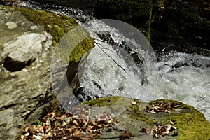 Waterfall on the mountain stream