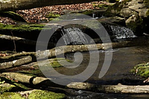 Waterfall on the mountain stream