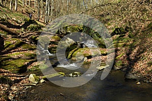 Waterfall on the mountain stream