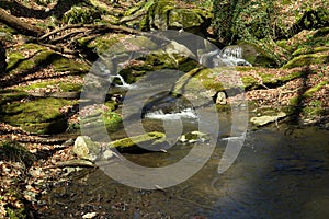 Waterfall on the mountain stream