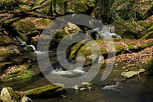 Waterfall on the mountain stream