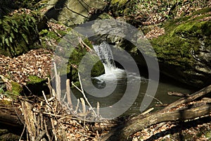 Waterfall on the mountain stream