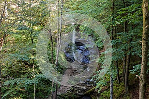 Waterfall on mountain stream on high rock in beech forest