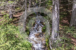 Waterfall of a mountain stream in the nature park Riedingtal Zedernhaus, Austria