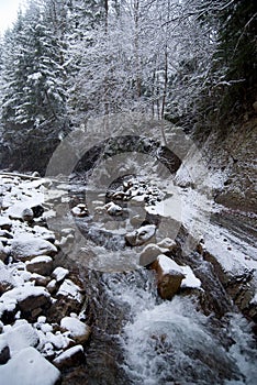 Waterfall in the mountain winter forest with snow-covered trees and snowfall
