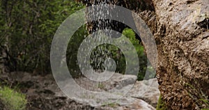 Waterfall in the mountain woods