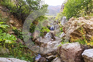 Waterfall in the mountains near the village of Griz.Guba.Azerbaijan photo