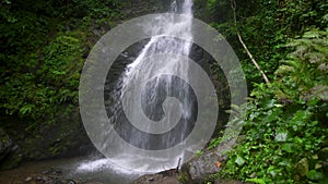 Waterfall in the mountains of the tropical forest.