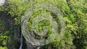 Waterfall on a mountainside overgrown with forests