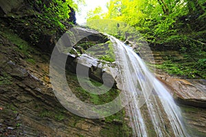 Waterfall in the mountais river forest water