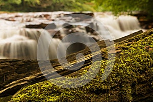 Waterfall on Muddy Creek near Albright WV