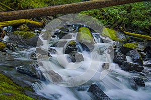 Waterfall at Murhut Creek in Olympic National Forest in Washington state