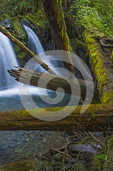 Waterfall at Murhut Creek in Olympic National Forest in Washington state