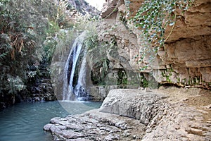 Waterfall in national park Ein Gedi near the Dead Sea in Israel