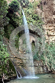 Waterfall in national park Ein Gedi near the Dead Sea in Israel