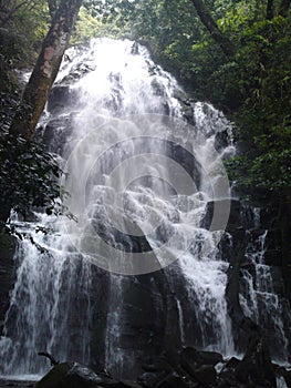 Waterfall in the National Park of Ricon de La Vieja photo