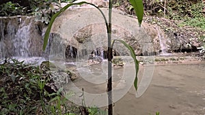 Waterfall in Natural Tropical Jungle - Thailand