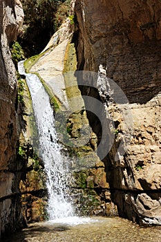 Waterfall in Nature Reserve Ein Gedi