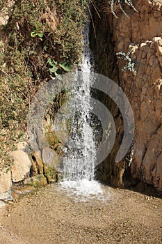 Waterfall in the Nature Reserve of Ein Gedi