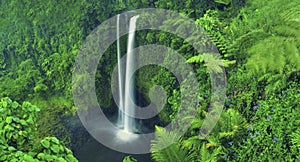 Waterfall Nature Scenics Waterfall Forest Concept photo