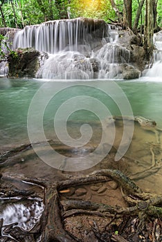 Waterfall nature season spring in forest