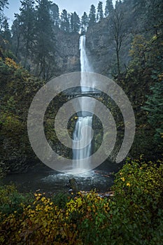 a waterfall near a forest with a bridge going over it