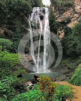 The waterfall is nice in the forest