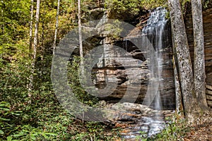 Waterfall in the North Carolina Woods