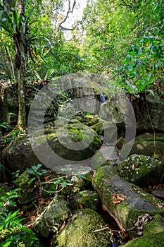 Waterfall in Nosy Mangabe, Madagascar wilderness