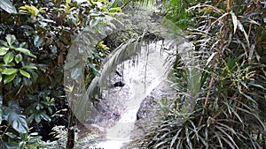 waterfall in Nova Friburgo, Brazil