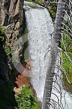 Waterfall in the Oregon Cascade range