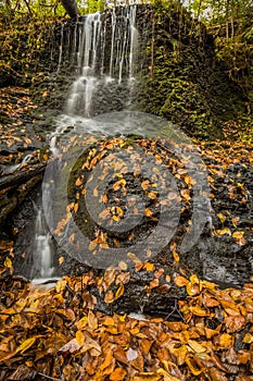 Waterfall over lush greens and golden fall foliage