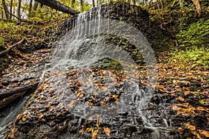 Waterfall over lush greens and golden fall foliage