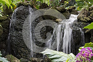 Waterfall Over Mossy Rocks With Pink Flowers at Fairchild Tropical Botanic Garden in Southern Florida